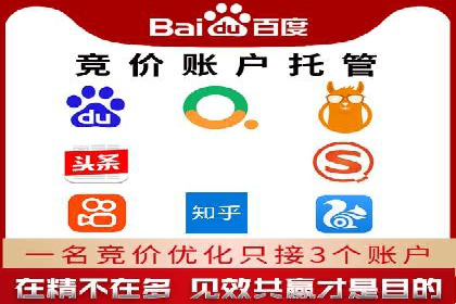百度竞价推广代运营经典案例分析